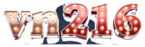 vn216 logo